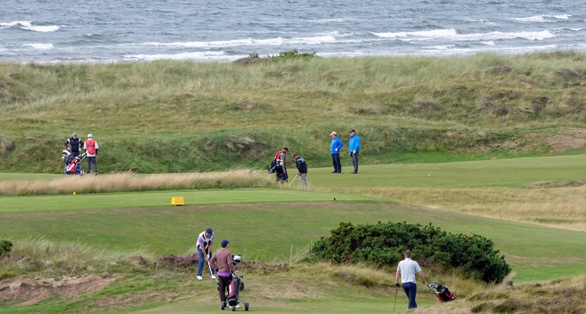 Windswept dunes and fescue fairways at Western Gailes with the Firth of Clyde in the background
