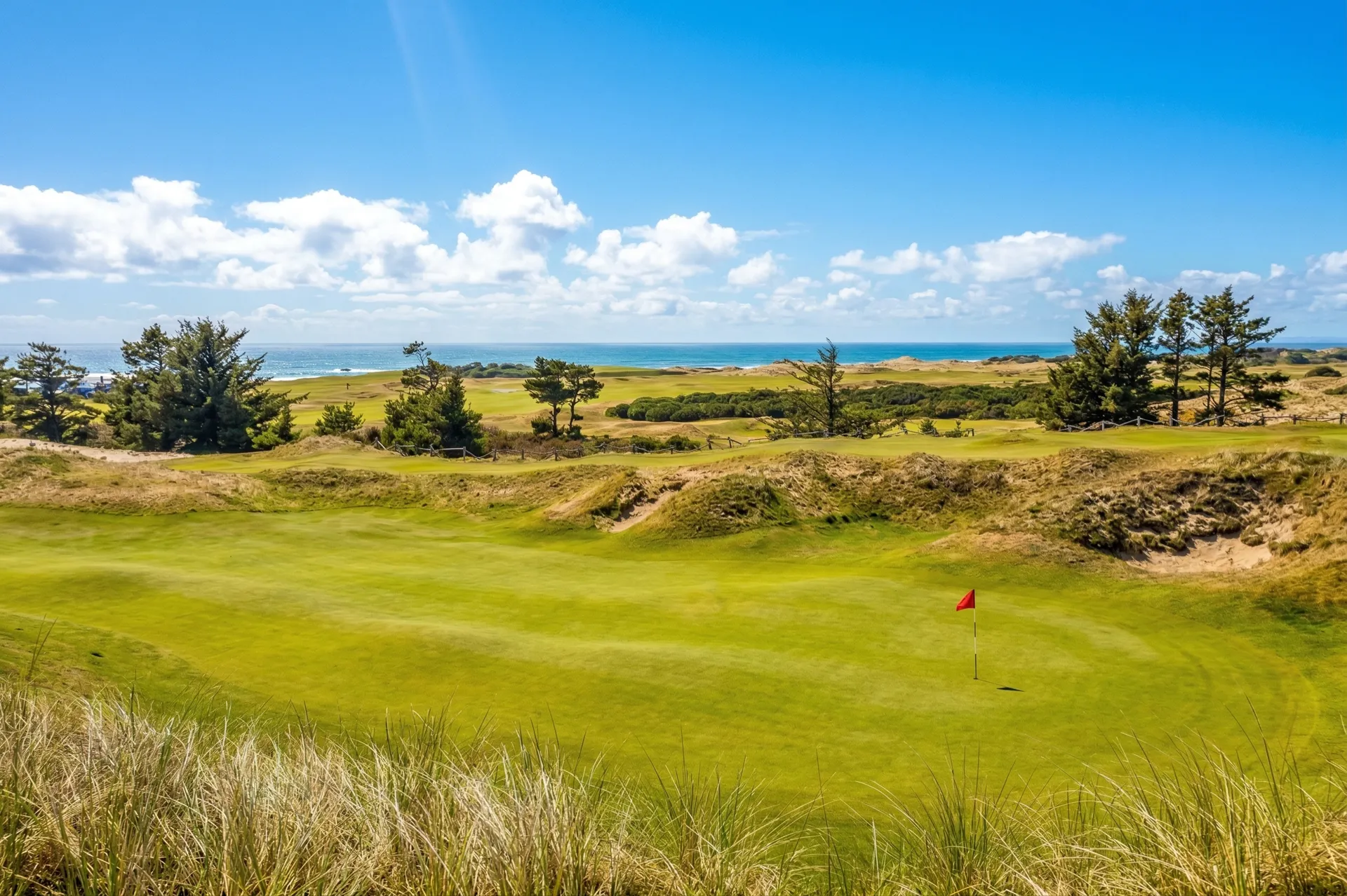 Bandon Preserve's coastal dunes with Pacific Ocean views from the par-3 course at Bandon Dunes Resort