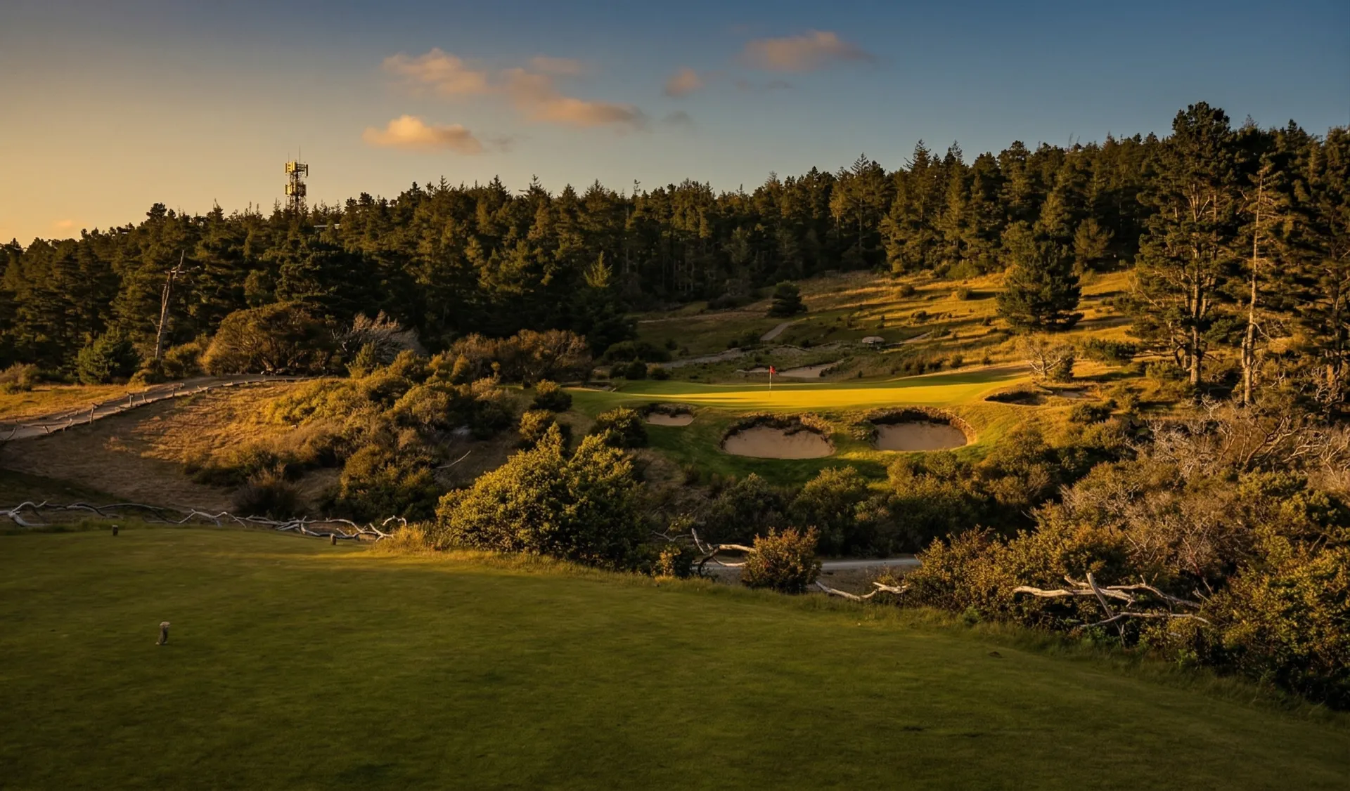 Bandon Trails fairway winding through coastal dunes and maritime forest on Oregon's southern coast