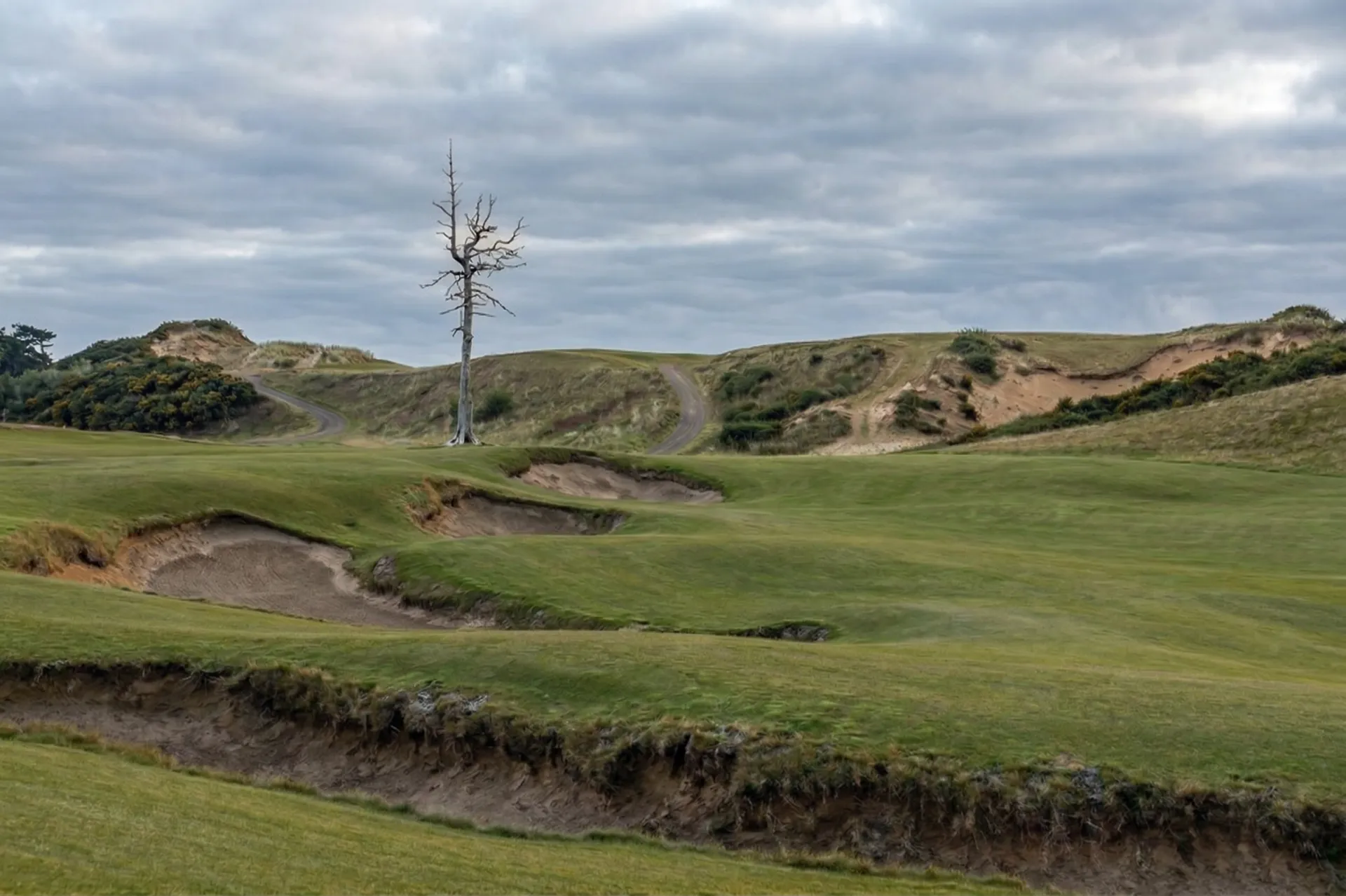 The sweeping, treeless links of Old Macdonald at Bandon Dunes with massive fescue fairways and the Pacific Ocean beyond